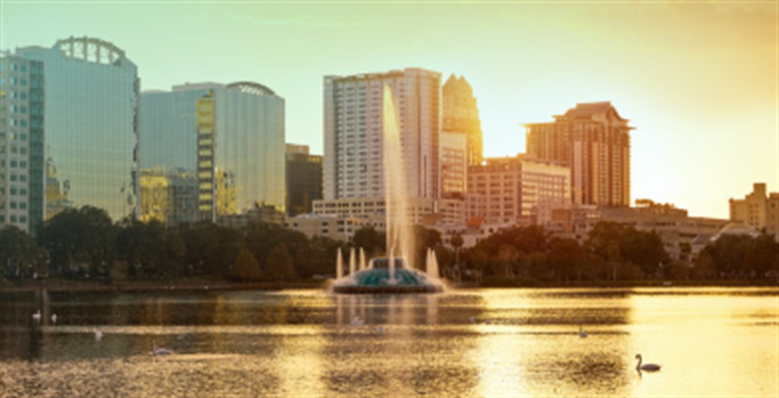 orlando-sunset-picnic.jpg